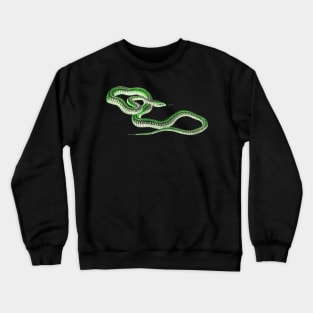 serpent,cobra,reptile,viper,venom,lizard,rattlesnake,king cobra Crewneck Sweatshirt